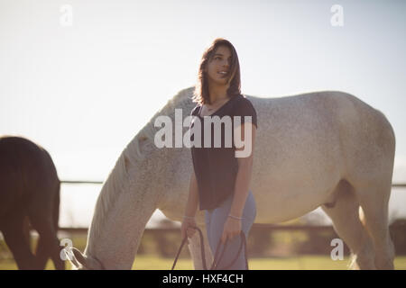 Bella Donna cavallo di contenimento rein in terreni agricoli in una giornata di sole Foto Stock