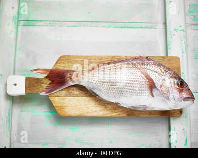 Fresco lutiano rosso pesce sul tagliere pronto per filettatura