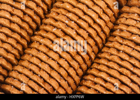 Vista superiore closeup di forma rotonda marrone zucchero biscotti disposti in righe Foto Stock