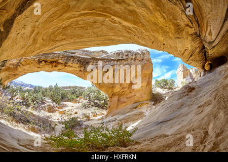 Obiettivo Fisheye foto del Moonshine Arch, primaverile, Utah, Stati Uniti d'America. Foto Stock