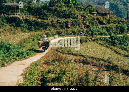 Meravigliose terrazze di riso nelle montagne della regione di Sapa in Vietnam Foto Stock