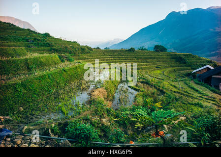 Meravigliose terrazze di riso nelle montagne della regione di Sapa in Vietnam Foto Stock