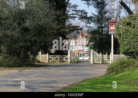 White Buck Inn, Burley, New Forest National Park, England, Regno Unito Foto Stock