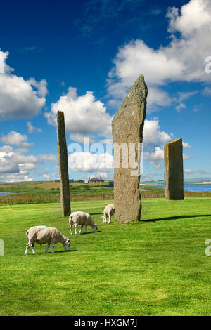 Neolitico pietre permanente di Stenness, Isola di Orkney, Scozia Foto Stock