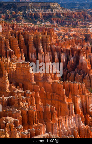 Bryce Canyon Bryce Canyon National Park, Utah Foto Stock