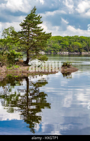 Muckross Lake, il Parco Nazionale di Killarney, nella contea di Kerry, Irlanda Foto Stock