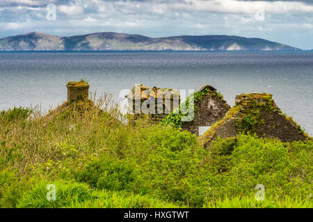 La rovina sull' isola Valentia, nella contea di Kerry, Irlanda, vista della penisola di Dingle (posteriore) Foto Stock