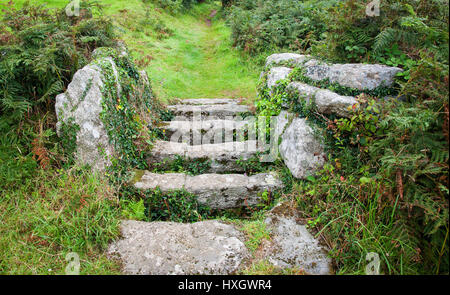 Confine campo stile fatto di grandi lastre di granito formando un gigante di pietra griglia di bestiame nei pressi del villaggio di Zennor sulla costa ovest Penwith Cornovaglia Foto Stock