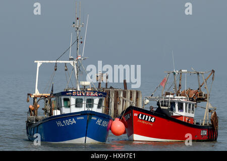 Barche da pesca nel porto di Whistable Kent England Foto Stock
