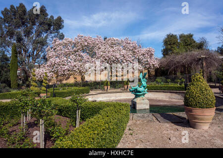 Alberi in fiore in Golders Hill Park, a nord di Londra, Regno Unito Foto Stock