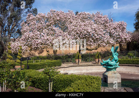 Alberi in fiore in Golders Hill Park, a nord di Londra, Regno Unito Foto Stock