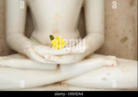 Un fiore giallo posto nelle mani capovolta di un Tirthankara Jain statua, Achalgarh templi Jain, Rajasthan Foto Stock