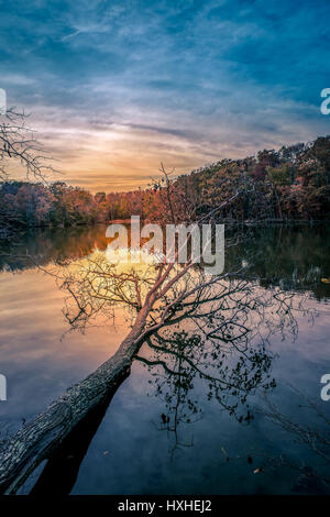 Sunrise su un Maryland Lago in autunno con riflessioni Foto Stock