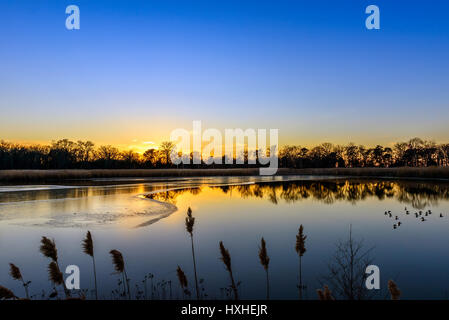 Tramonto su un gelido Maryland laghetto nei pressi della baia di Chesapeake in inverno Foto Stock