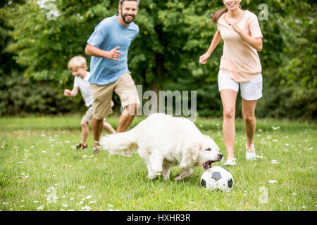 La famiglia gioca a calcio con il cane e divertirsi in estate Foto Stock
