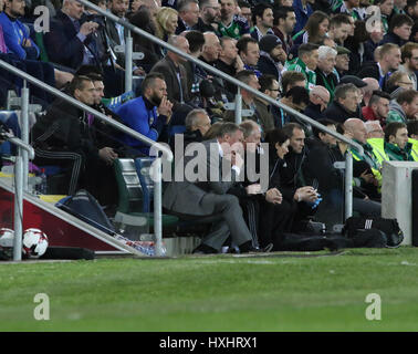 Stadio Nazionale al Windsor Park di Belfast. Il 26 marzo 2017. 2018 World Cup Qualifier - Irlanda del Nord 2 Norvegia 0. Irlanda del Nord manager Michael O'Neill (adatto a sinistra) concentrandosi sul match. Foto Stock