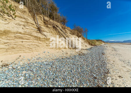 Erosione su dune di sabbia in spiaggia Llanddwyn, Newborough, Anglesey Foto Stock