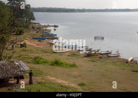 Serbatoio kandalama dambulla centrale provincia dello Sri lanka Foto Stock