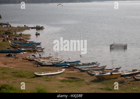 Serbatoio kandalama dambulla centrale provincia dello Sri lanka Foto Stock