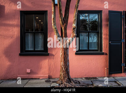 Windows di una pesca casa colorata e un Mirto arricciato tronco di albero a Charleston, Carolina del Sud, Stati Uniti d'America Foto Stock