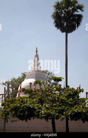 Thuparamaya dagoba anuradhapura Nord provincia centrale dello Sri lanka Foto Stock