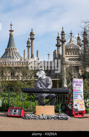 Brighton, Regno Unito. 28 Mar, 2017. Il ben noto Mellow Zebra intrattiene i visitatori in Pavilion Gardens Brighton come la calda primavera meteo continua in tutta la Gran Bretagna oggi con alcune aree aspetta di raggiungere fino a 19 gradi Credito: Simon Dack/Alamy Live News Foto Stock