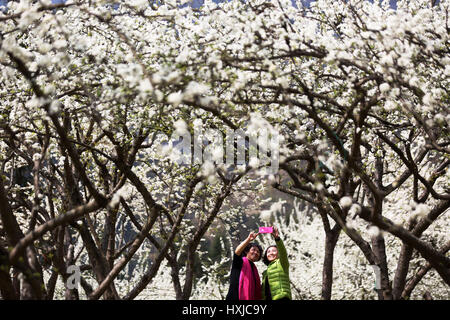 Chongqing Cina. 28 Mar, 2017. I turisti posano per le foto sotto la prugna fiori in Xiaonanhai città del Distretto di Qianjiang di Chongqing, a sud-ovest della Cina, 28 marzo 2017. Credito: Yang Min/Xinhua/Alamy Live News Foto Stock