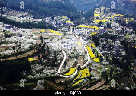 Chongqing Cina. 28 Mar, 2017. Foto scattata a Marzo 28, 2017 mostra una veduta aerea di prugna fiori in Xiaonanhai città del Distretto di Qianjiang di Chongqing, a sud-ovest della Cina, 28 marzo 2017. Credito: Yang Min/Xinhua/Alamy Live News Foto Stock