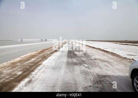 Xinjiang, Cina. 28 Mar, 2017. Lop Nur è un ex Salt Lake in Cina, ora in gran parte secche, situato tra il Taklamakan e Kumtag deserti nella porzione sud-orientale dello Xinjiang Uygur Regione autonoma in Cina. È essiccato fino a causa della costruzione di dighe che blocca il flusso di alimentazione di acqua nel lago di sistema e solo piccoli laghi stagionali e paludi può formare. Le Secche di Lop Nur bacino è coperto con una crosta di sale variabili da 30 cm a 1 m di spessore. Credito: SIPA Asia/ZUMA filo/Alamy Live News Foto Stock