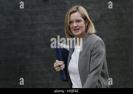 Londra, Regno Unito. 29 Mar, 2017. British Home Secretary Ambra Rudd arriva per una riunione del gabinetto al 10 di Downing Street a Londra il 29 marzo 2017. La Gran Bretagna attiverà la sua uscita dalla Unione Europea Mercoledì, nove mesi dopo che il paese ha votato per lasciare il blocco. Credito: Tim Irlanda/Xinhua/Alamy Live News Foto Stock