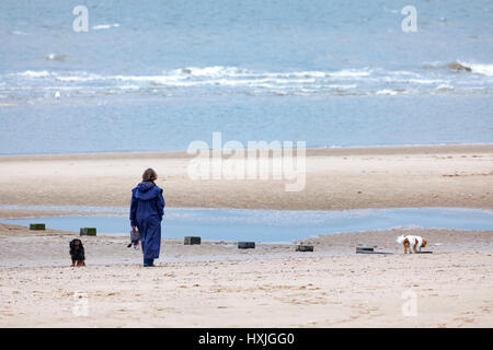 Dog walker prendendo un inizio di mattina cane a camminare lungo la spiaggia presso la popolare cittadina turistica di Rhyl, Denbighshire, Galles Foto Stock