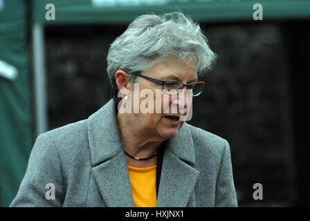 Londra, Regno Unito. 29 Mar, 2017. Gisela STUART fuori le case del Parlamento il giorno dell'articolo 50 il ritiro del Regno Unito dalla UE inviati a Bruxelles. Credito: JOHNNY ARMSTEAD/Alamy Live News Foto Stock