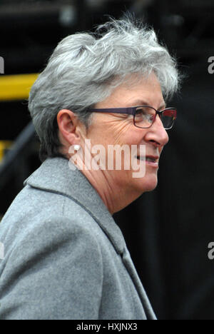 Londra, Regno Unito. 29 Mar, 2017. Gisela STUART fuori le case del Parlamento il giorno dell'articolo 50 il ritiro del Regno Unito dalla UE inviati a Bruxelles. Credito: JOHNNY ARMSTEAD/Alamy Live News Foto Stock