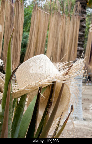 Display speciale di incompiuta di cappelli di paglia - Cappelli in Sud America Foto Stock