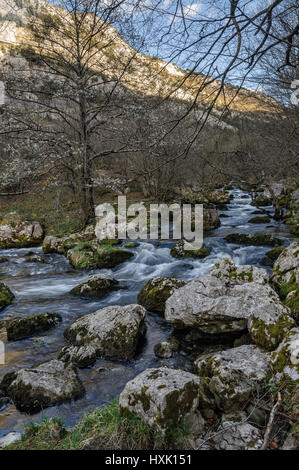 Nascita del fiume motivo, Cantabria, Spagna, Europa Foto Stock