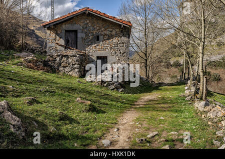 Nascita del fiume motivo, Cantabria, Spagna, Europa Foto Stock