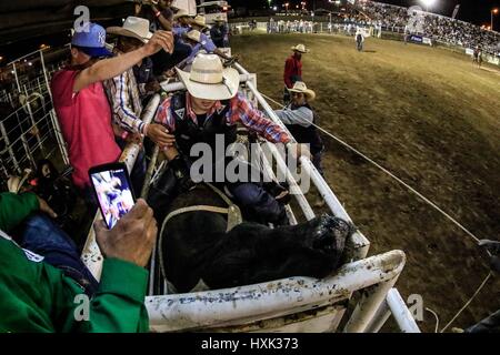 Relazione sulla rodeo piloti e ambiente intorno a questo Vaquero sport che ha una grande forza in Sonora. Le immagini di un disco West rodeo giorno in arena Foto Stock