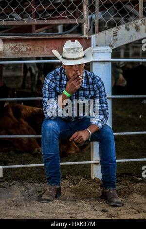 Relazione sulla rodeo piloti e ambiente intorno a questo Vaquero sport che ha una grande forza in Sonora. Le immagini di un disco West rodeo giorno in arena Foto Stock