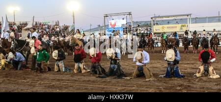 Relazione sulla rodeo piloti e ambiente intorno a questo Vaquero sport che ha una grande forza in Sonora. Le immagini di un disco West rodeo giorno in arena Foto Stock