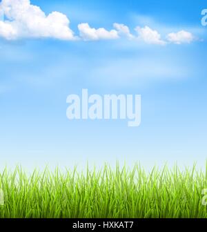 Prato con le nubi sul cielo blu Illustrazione Vettoriale