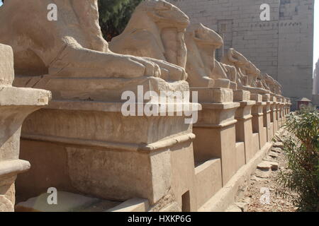 Complesso del tempio di Karnak Luxor Egitto Foto Stock