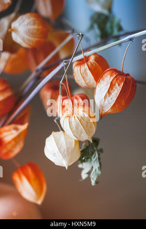 Bouquet di luminoso rosso secco physalis lolla, closeup foto verticale con il fuoco selettivo Foto Stock