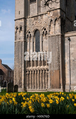 Sud dettaglio anteriore in primavera, King's Lynn Minster (St Margaret's), Norfolk, Inghilterra, Regno Unito Foto Stock