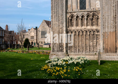 Sud dettaglio anteriore in primavera, King's Lynn Minster (St Margaret's), Norfolk, Inghilterra, Regno Unito Foto Stock