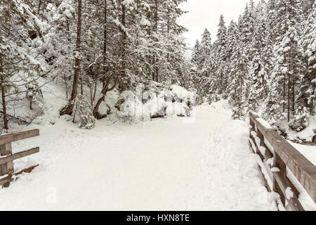 Ponte sul torrente Strazyski in Strazyska Valley vicino a Zakopane, Polonia Foto Stock