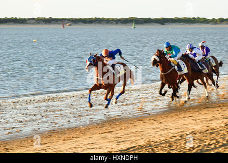 Corsa di cavalli sulla spiaggia di Sanlúcar de Barrameda. Sanlúcar de Barrameda, Cadice, Andalusia, Spagna, Europa Foto Stock