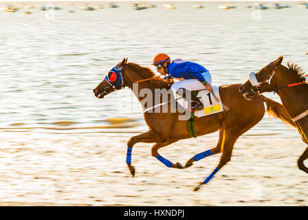 Corsa di cavalli sulla spiaggia di Sanlúcar de Barrameda. Sanlúcar de Barrameda, Cadice, Andalusia, Spagna, Europa Foto Stock