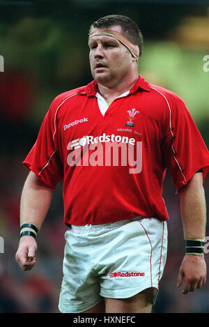 DAVID GIOVANE GALLES & RU Cardiff Cardiff Wales Millennium Stadium il 10 novembre 2001 Foto Stock