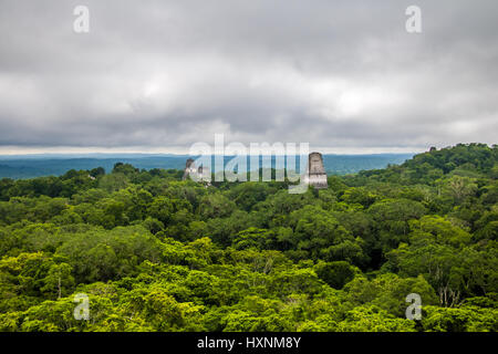 Vista panoramica della foresta pluviale e la parte superiore dei templi maya al Parco Nazionale di Tikal - Guatemala Foto Stock