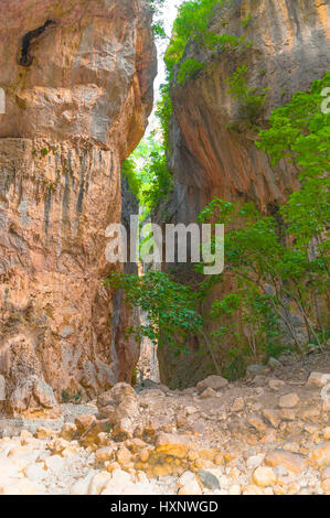 Nella parte inferiore della gola, la Ermita del Garganta Verde, Sierra de Grazalema Parco Naturale; Andalusia, Spagna Foto Stock